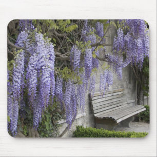 Mousepad Europa, Áustria, Salzburg Stadt, Salzburg,