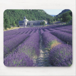 Mousepad Europa, França, Provença. Campos de lavanda