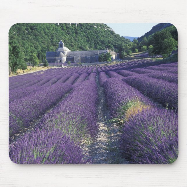 Mousepad Europa, França, Provença. Campos de lavanda (Frente)