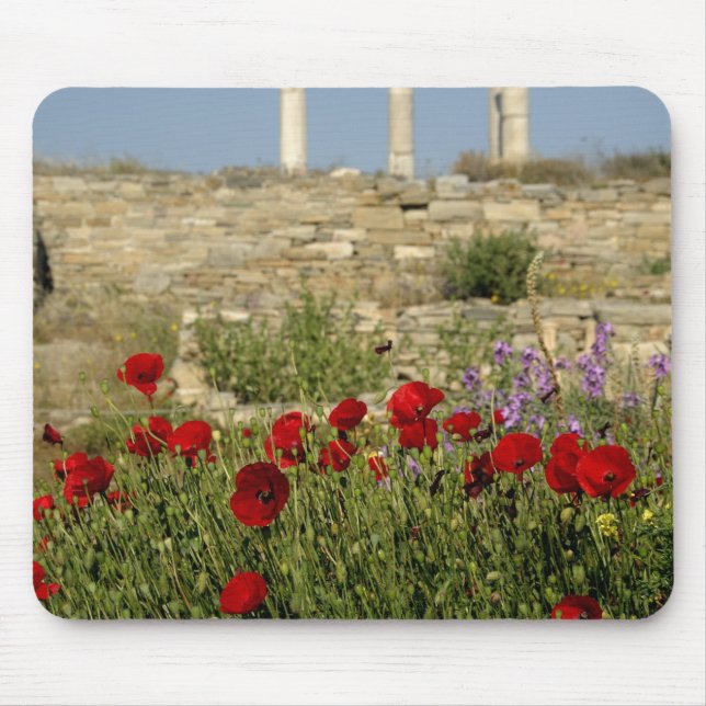 Mousepad Europa, Grécia, Cíclades, Delos. Ruínas de coluna. (Frente)