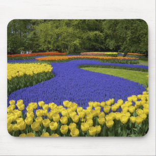 Mousepad Europa, Países Baixos, Holanda, Lisse, Keukenhof
