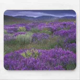 Mousepad Europa, Turquia, Capadócia. Paisagem rural 2