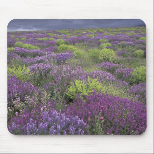 Mousepad Europa, Turquia, Capadócia. Paisagem rural 3
