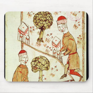 Mousepad Exame e delimitação da terra