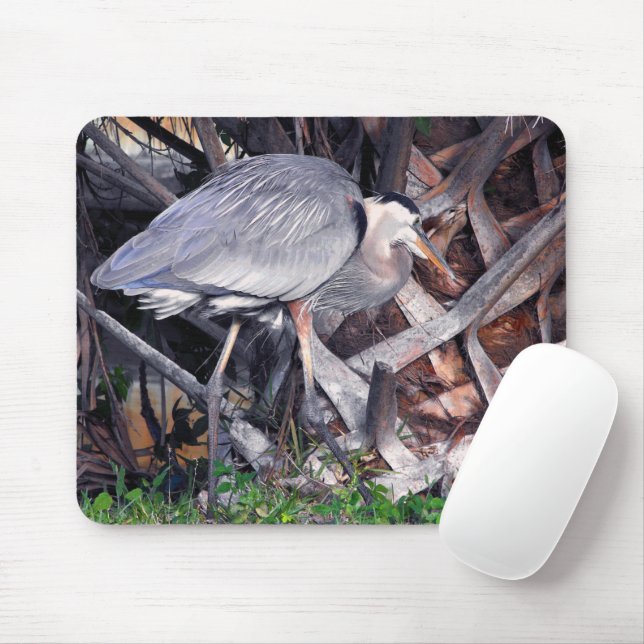 Mousepad Excelente Blue Heron e Palm Tree (Com mouse)