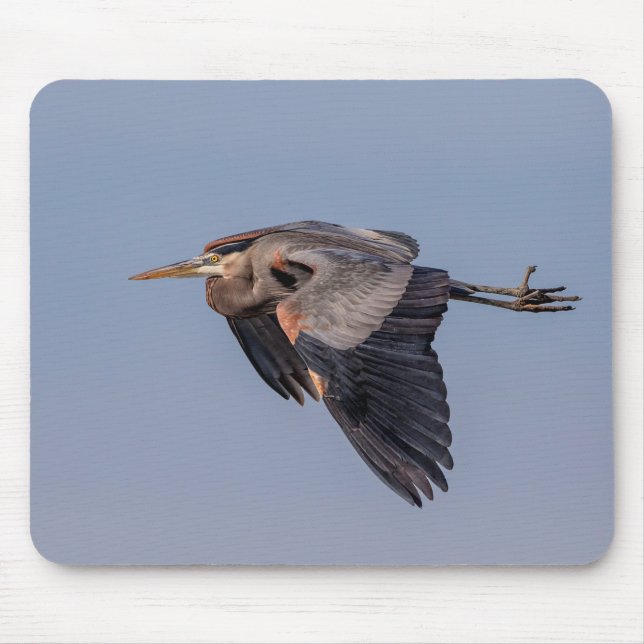 Mousepad Excelente Blue Heron em voo (Frente)
