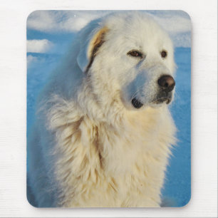 Mousepad Excelente Branco Pirenéus, Pecuária, Cão Guardi