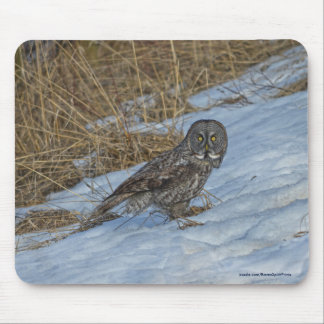 Mousepad Excelente Cinza Coruja e Raptor de Neve