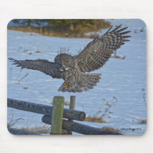 Mousepad Excelente de aterrissagem, Cinza e Raptor de neve