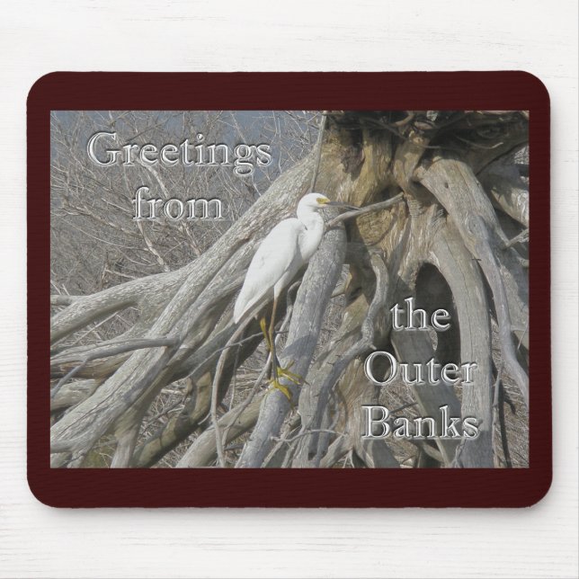 Mousepad Excelente Egret (Ardea alba) OBX (Frente)