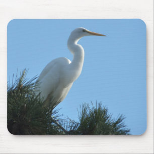 Mousepad Excelente Egret em Sunny Florida