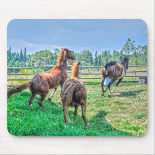 Mousepad Executando Pinto Pintor Gelding & Chestnut Stallio