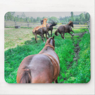 Mousepad Executando Pinto Pintor Gelding & Chestnut Stallio