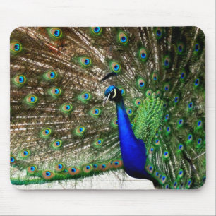 Mousepad Exibição de Patilha Masculina