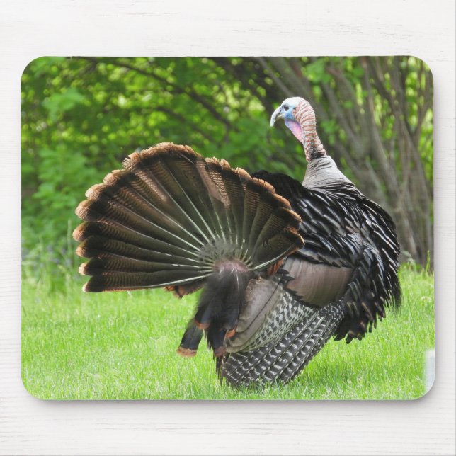 Mousepad Exibição de Pena de Peru Tom  (Frente)