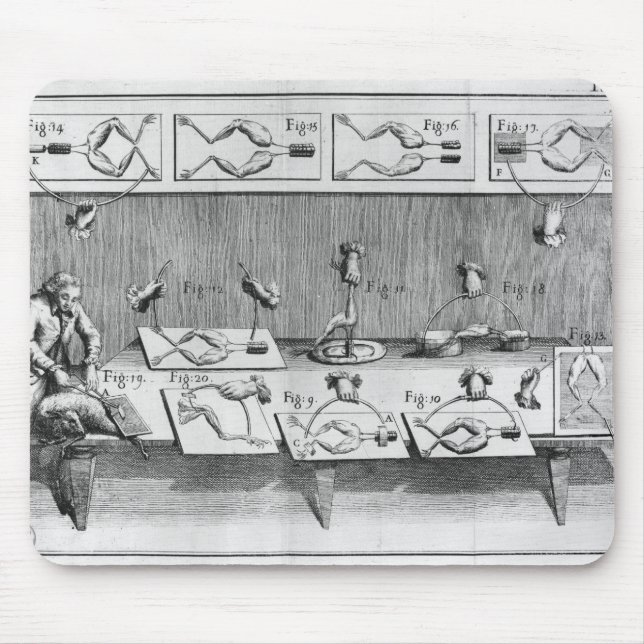 Mousepad Experiência em sapos (Frente)