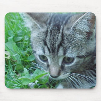 Mousepad Explore primeiramente