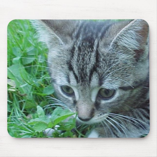 Mousepad Explore primeiramente (Frente)