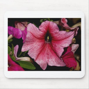 Mousepad Explosão Floral