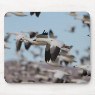 Mousepad Explosão No Céu Socorro