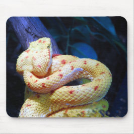 Mousepad Eyelash Viper