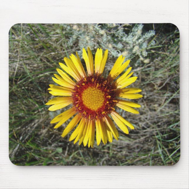 Mousepad F1 Flor Amarela Selvagem Gaillardia (Frente)