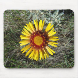 Mousepad F1 Gaillardia Amarelo