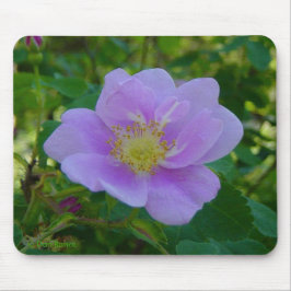Mousepad F37 Rosa selvagem