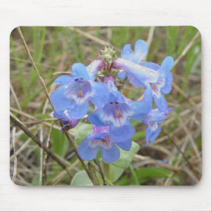 Mousepad F3 Flores Silvestres Azuis Penstemon Azul Delgado
