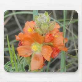 Mousepad F40 Laranjas Flores Silvestres Scarlet Mallow
