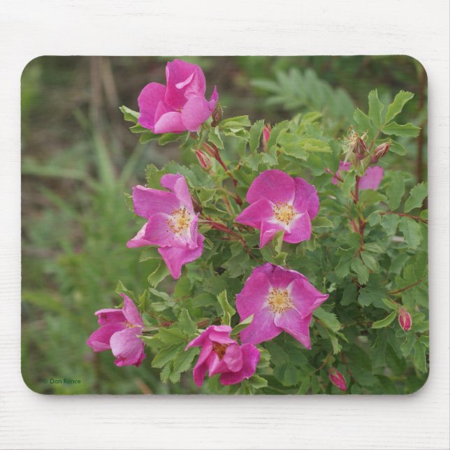 Mousepad F46 Rosas Silvestres (Frente)