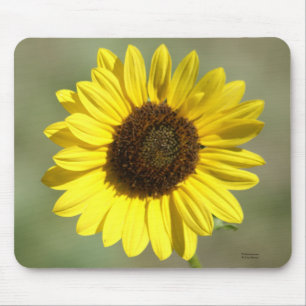 Mousepad F47 Flor Amarela Selvagem Girassol Anual Comum