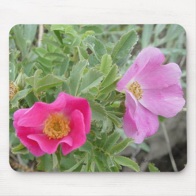 Mousepad F4 Rosas selvagens (Frente)