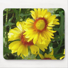 Mousepad F6 Flores Amarelas Gaillardia