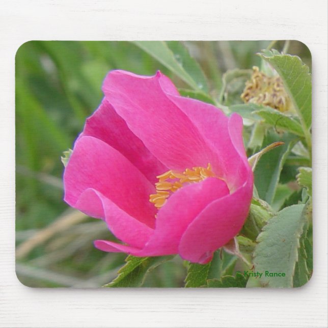 Mousepad F7 Rosa Silvestre (Frente)
