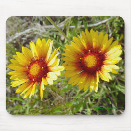 Mousepad F8 Flores Amarelas Gaillardia