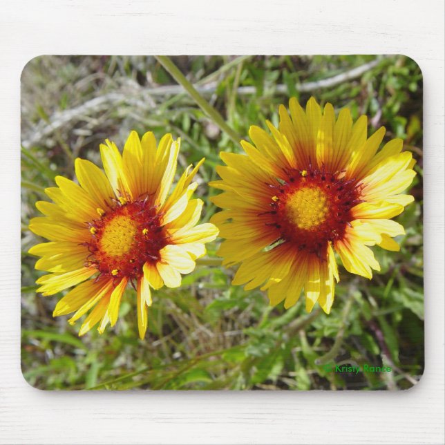 Mousepad F8 Flores Amarelas Gaillardia (Frente)