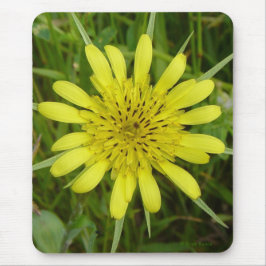 Mousepad F9 Flor Amarela Barba de Bode