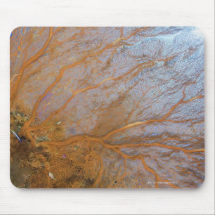 Mousepad Fã de mar gorgonian gigante (sp de Plexauridae.)