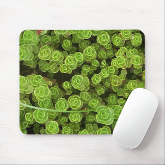 Mousepad Fábrica de Jardim Verde Sedum