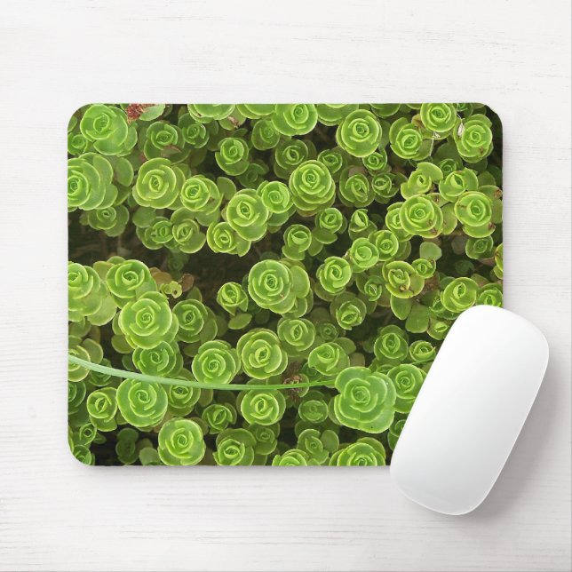 Mousepad Fábrica de Jardim Verde Sedum (Com mouse)