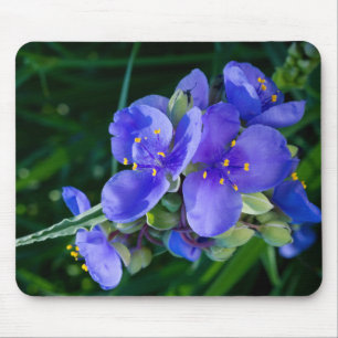 Mousepad Fábrica de verduras e verduras em sangue de Cheio