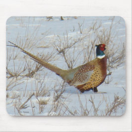 Mousepad Faisão B22 Anel-necked na neve
