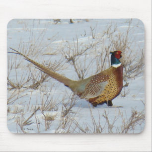 Mousepad Faisão-de-pescoço-anilado na Neve B22