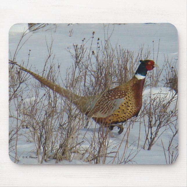 Mousepad Faisão-de-pescoço-anilado na Neve B23 (Frente)