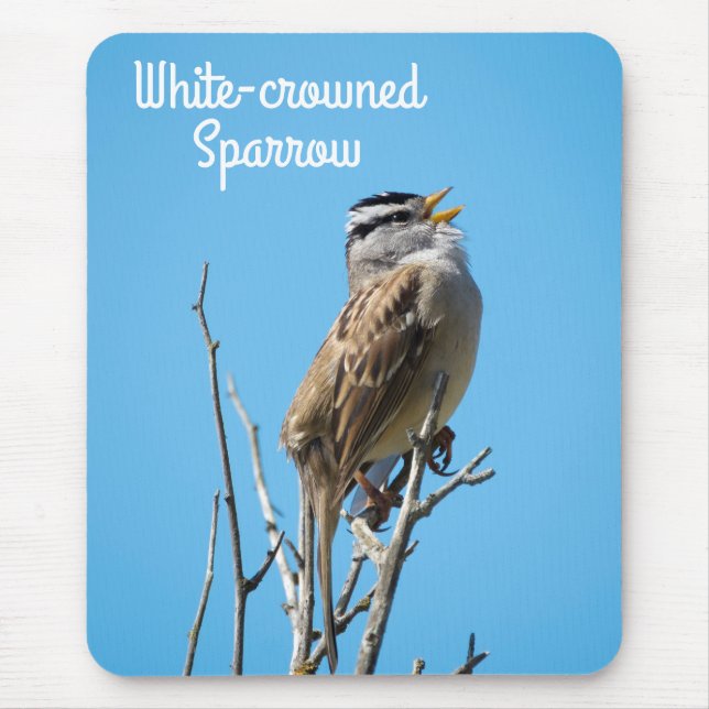 Mousepad Faísca com coroação branca (Frente)