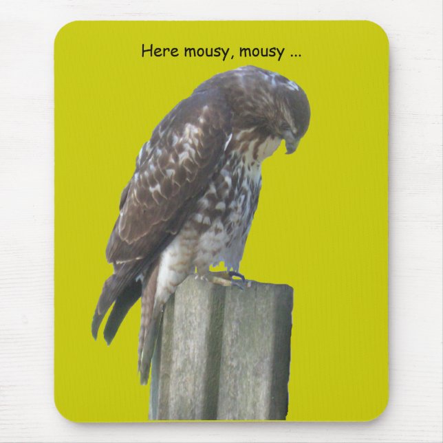 Mousepad - Falcão (Frente)