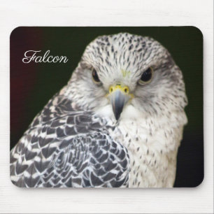 Mousepad Falcão