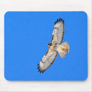 Mousepad Falcão atado vermelho em vôo