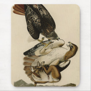 Mousepad Falcão de cauda vermelha das aves da América de Au